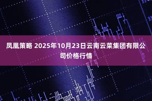 凤凰策略 2025年10月23日云南云菜集团有限公司价格行情