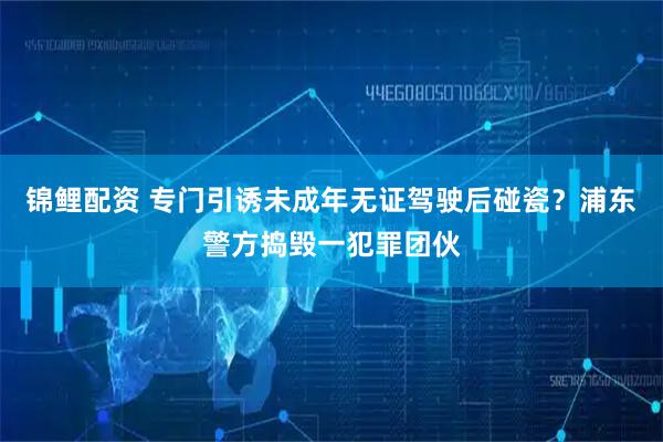 锦鲤配资 专门引诱未成年无证驾驶后碰瓷？浦东警方捣毁一犯罪团伙